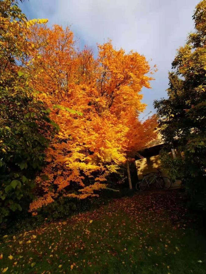 호크셰드 Treeside Woodhouse 빌라 외부 사진