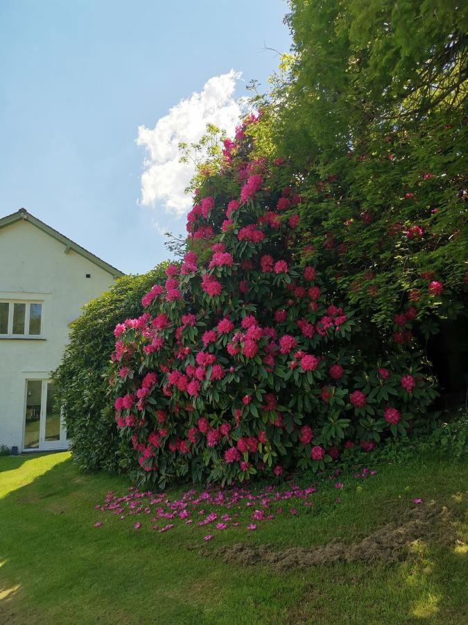 호크셰드 Treeside Woodhouse 빌라 외부 사진